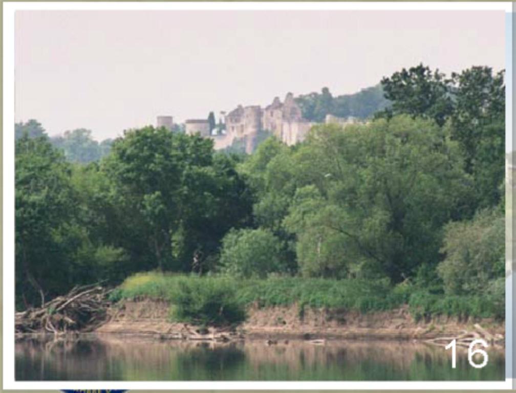 Domaine Du Heron ชีนง ภายนอก รูปภาพ